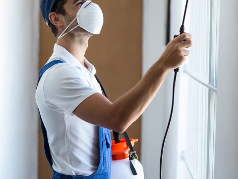 Depositphotos_106130290_original