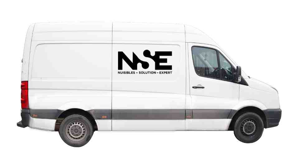 vehicule nuisibles solution expert lyon intervention deratisation desinsectisation nse